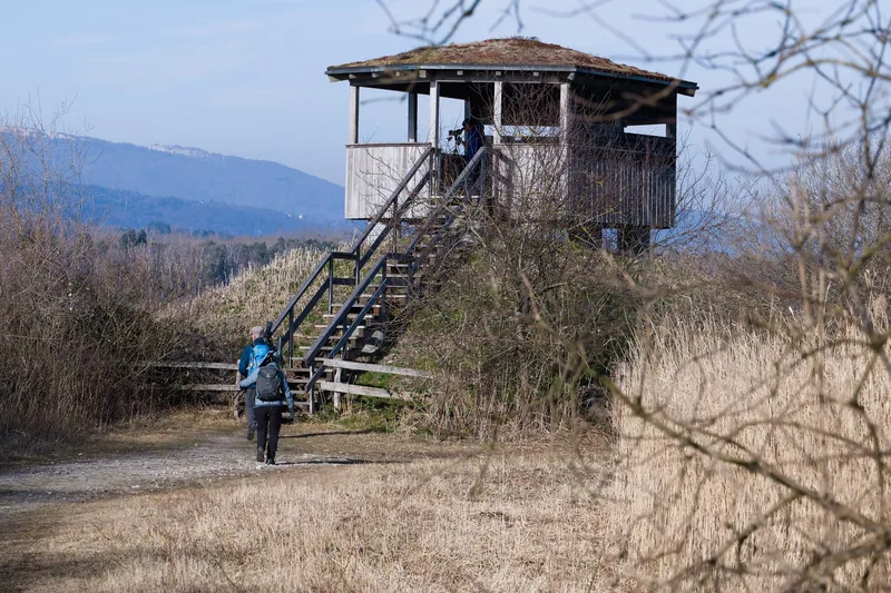 Belton's Landscape – Geology, History and Nature Walk