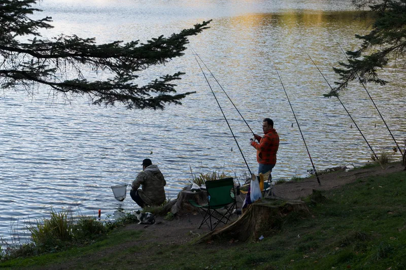Get Fishing Norwich