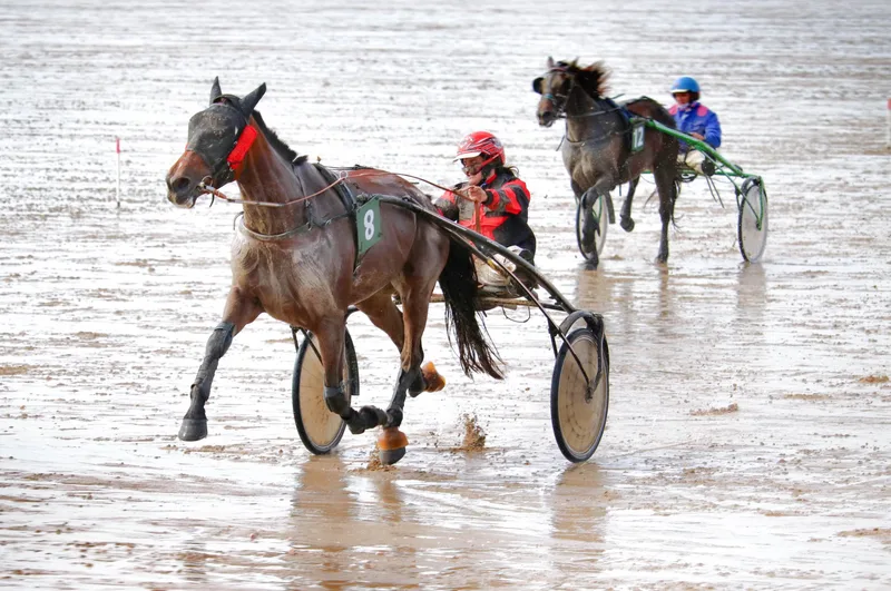 Autumn Afternoon Racing - Bath Racecourse