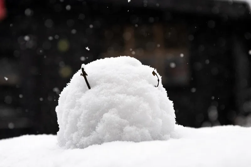 'The Snowman' film with live orchestra (4pm)