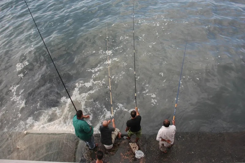 Free Junior Fishing Coaching | Highbridge Angling Association Juniors