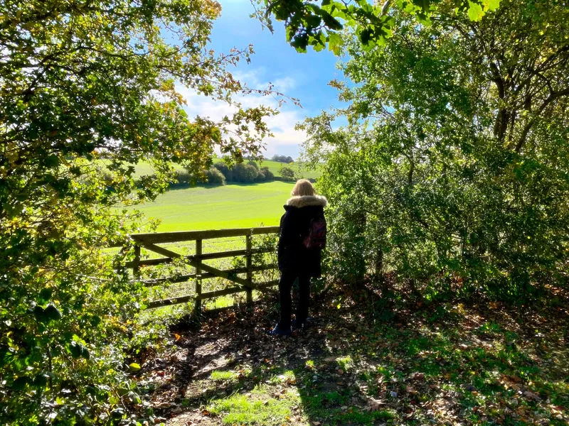 Guided walk: A tale of Three Windmills (almost!)