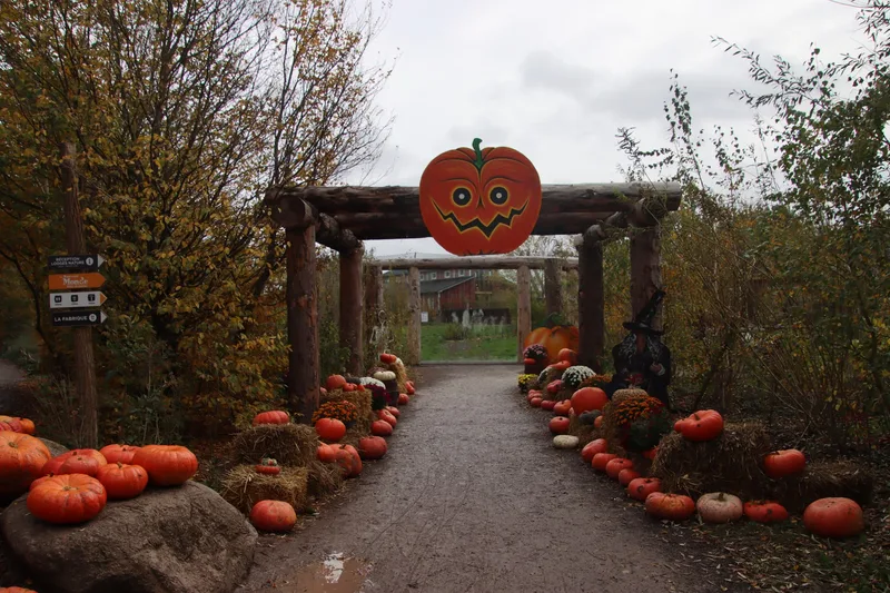 Shindie Sheffield | Halloween