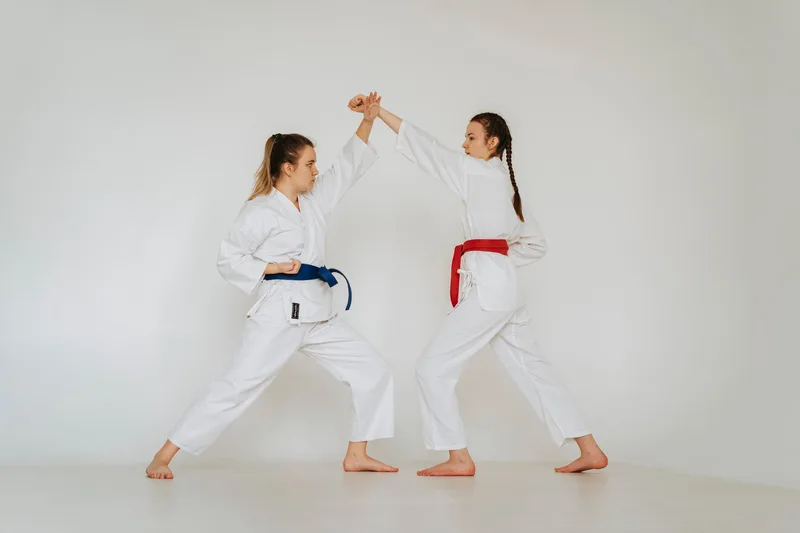 North Kent Martial Arts Club