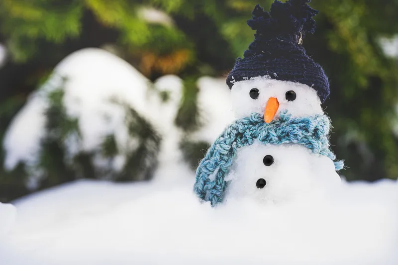 'The Snowman' film with live orchestra (2pm)