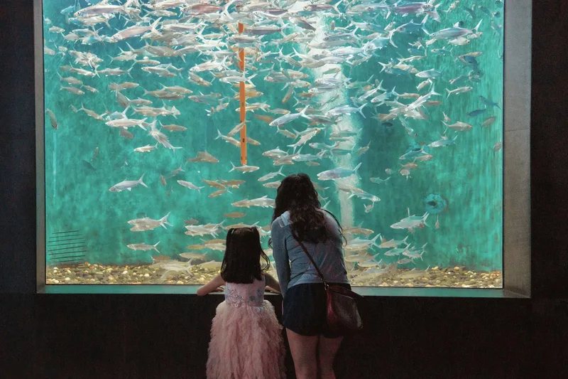 Sea Life London - Standard Entry
