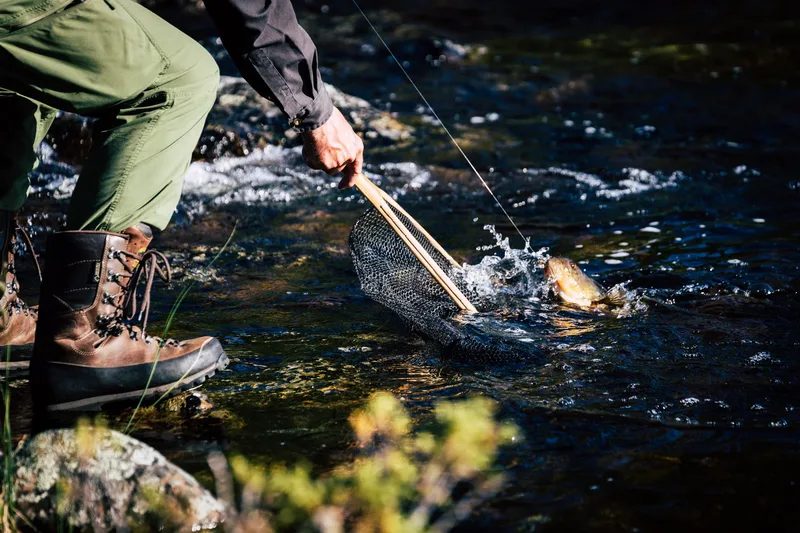 Free Junior Fishing Coaching | Highbridge Angling Association Juniors
