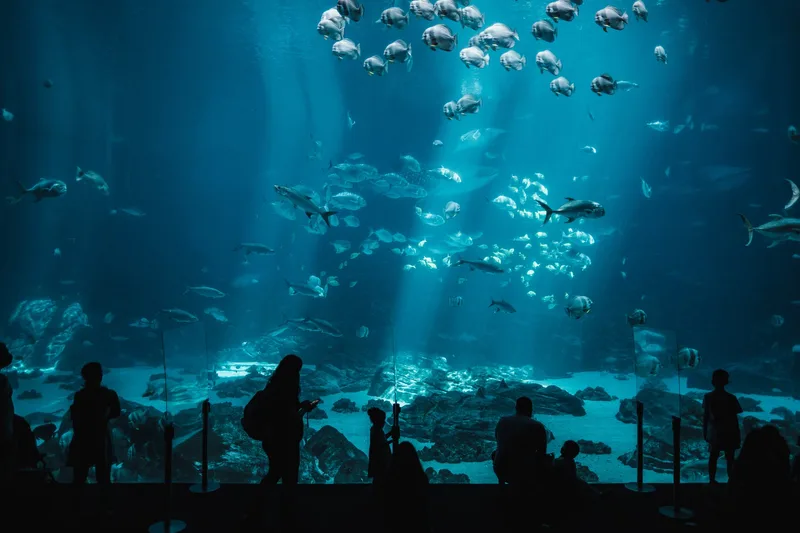 Sea Life Manchester - Standard Entry