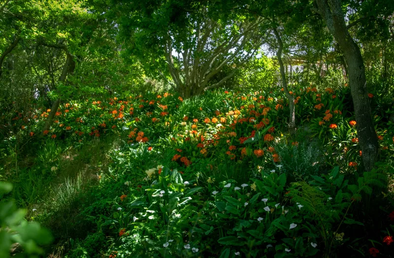 Spring Open Gardens