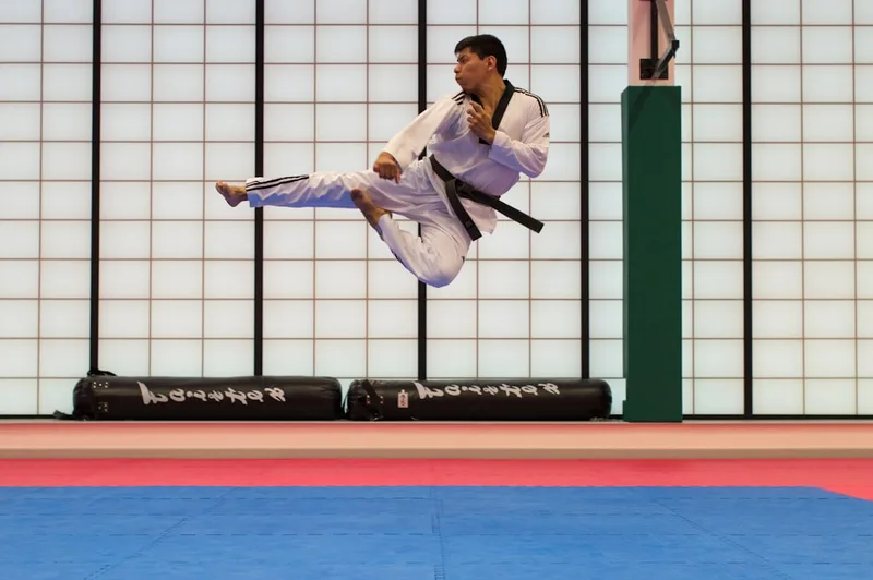 Martial Arts for Beginners