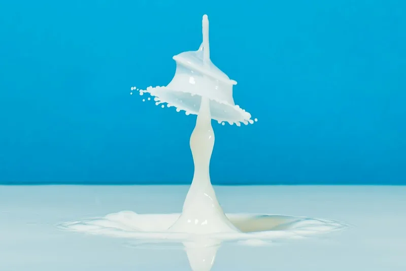 DRESS AS YOUR TYPE MILK TUESDAYS | COCO