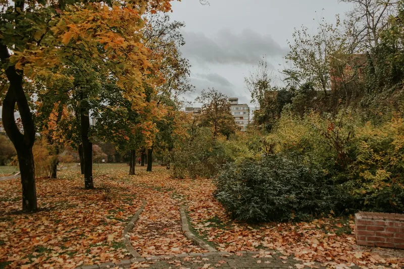 Autumn sensory garden trail