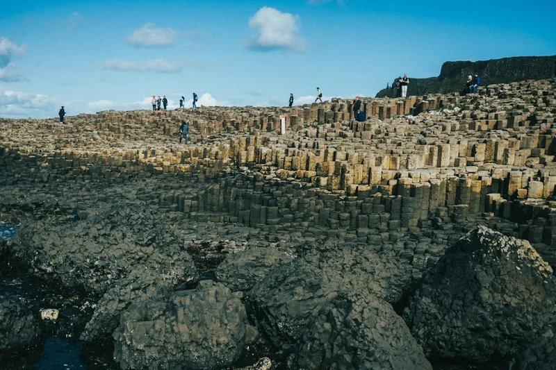 Belfast - Giants Causeway , Dunluce Castle and Dark Hedges