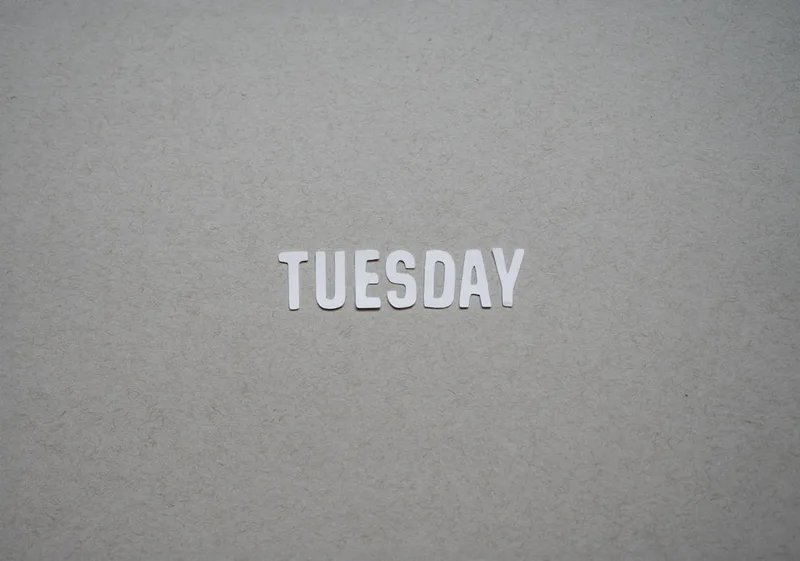 Treasure Tuesdays - Great North Museum:...