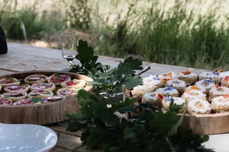 Terra Vitum Foraging Workshop and Wild Feast for Two — Portsmouth