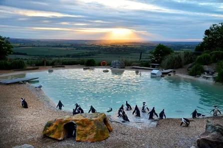 Visit to Whipsnade Zoo for One Adult and One Child