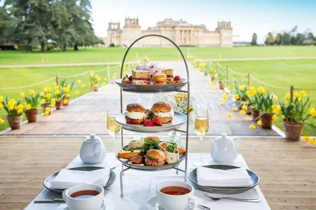 Visit to Blenheim Palace and Afternoon Tea in The Orangery for Two