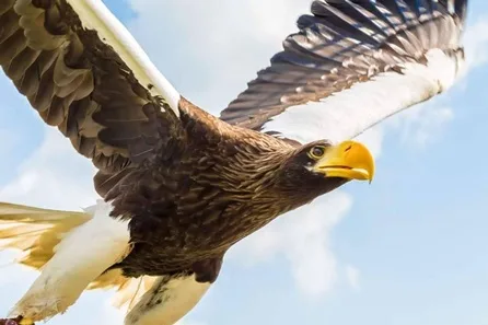 Visit to Eagle Heights Wildlife Foundation with Refreshment