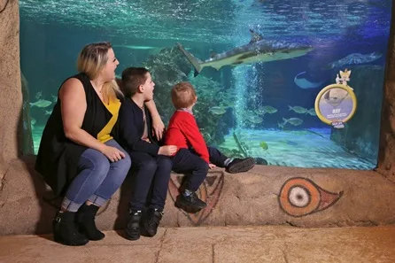 Visit to SEA LIFE Blackpool - Two Adults and One Child