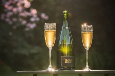 Wild West Cider and Wine Tour with Tastings