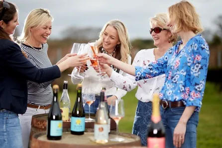 Chet Valley Vineyard Tour and Tasting for Two