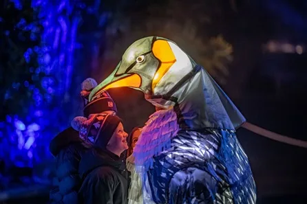 Christmas at Chester Zoo - Lanterns and Light with Food for Two