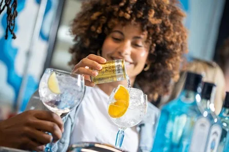 Bombay Sapphire Gin Cocktail Masterclass & Distillery Tour