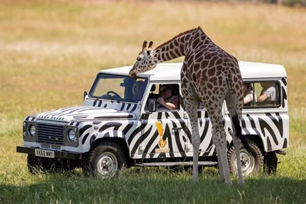 Longleat Silver VIP Truck Safari and Behind The Scenes Foot Tour with Park Admission for Six