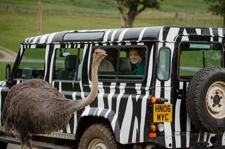 Longleat Silver VIP Truck Safari and Behind The Scenes Foot Tour with Park Admission for Two