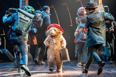 Paddington the Musical Premium Theatre Tickets for Three