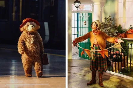 Paddington the Musical Premium Theatre Tickets and The Paddington Bear ™ Experience for One Adult and One Child - Off Peak