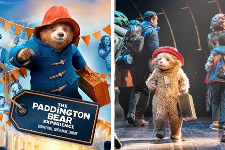 Paddington the Musical Premium Theatre Tickets and The Paddington Bear ™ Experience for Two Adults and Two Children - Peak