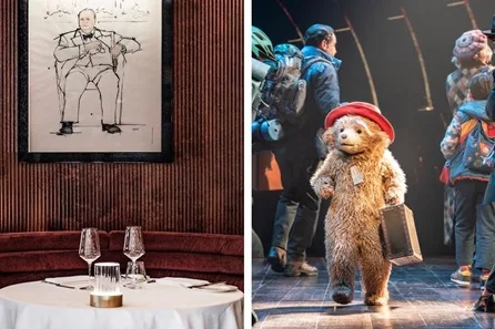 Paddington the Musical Premium Theatre Tickets and Savoy Grill Two Course Pre-Theatre Dining for Two