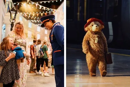 Paddington the Musical Theatre Tickets and The Paddington Bear ™ Experience for Two Adults and Two Children - Peak