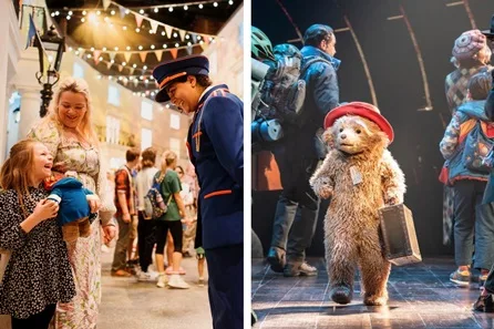 Paddington the Musical Theatre Tickets and The Paddington Bear ™ Experience for Two Adults and Two Children - Off Peak
