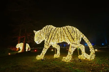 Port Lympne Bear Lodge Stay, Truck Safari and Festive Magical Light Trail for up to Eight