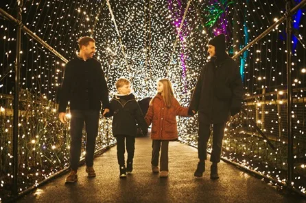 Port Lympne Hog Deer Creek Shepherds Hut Stay, Truck Safari and Festive Magical Light Trail for up to Four
