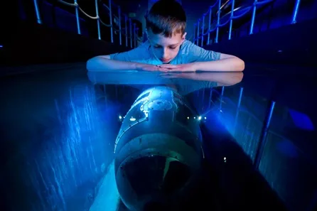 Portsmouth Historic Dockyard tickets for Two Adults and up to Three Children