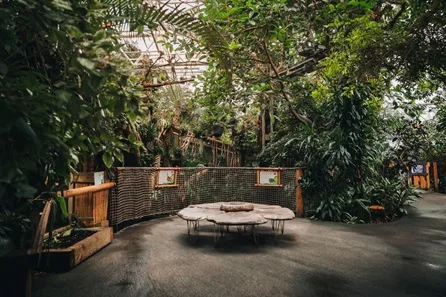 Plantasia Tropical Zoo Visit with Lunch for Two Adults and Three Children