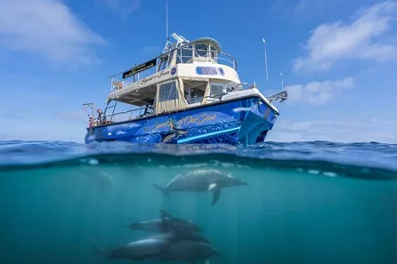 Private Romantic Wildlife Exploration Cruise with Personalised Itinerary for Two around Cornwall's Coastline