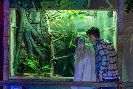 SEA LIFE Scarborough Visit for Two Adults