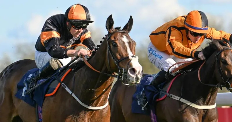 Bath Racecourse August Racing (Wednesday)