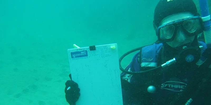 Seasearch Surveys 28 July 2026 (2103 + 37040)