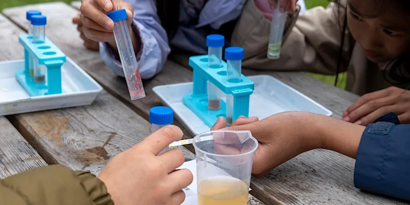 Family Workshops - Eco Detectives