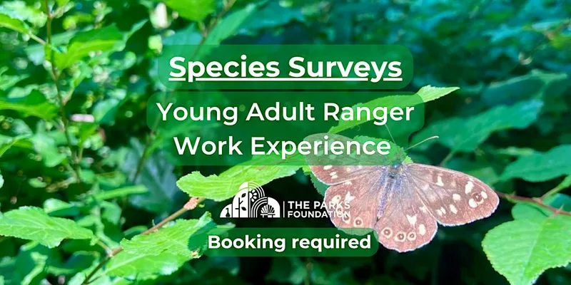 Bat Walk - Young Adult Ranger Work Experience at Alexandra Park