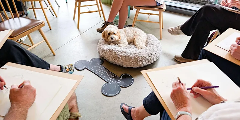 Dog Life Drawing at Boston Tea Party, Bristol - Summer Season