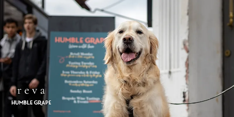 Paws & Pours: Wine Tasting Social For Dog Lovers