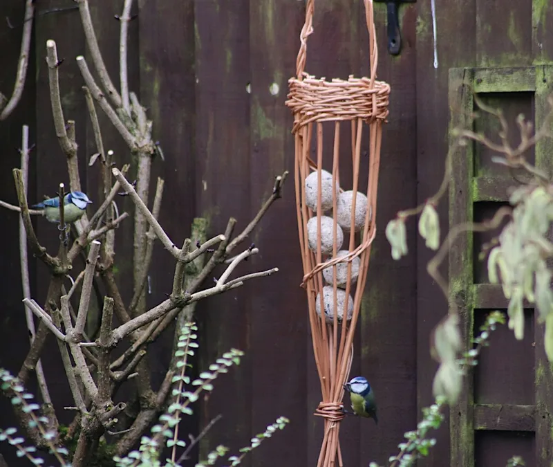 Willow Weaving Workshop: Bird Feeders (at Summer Leys)
