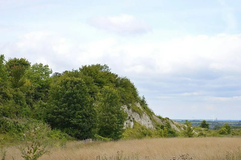 Walk and Talk for MENtal Health - Totternhoe Knolls