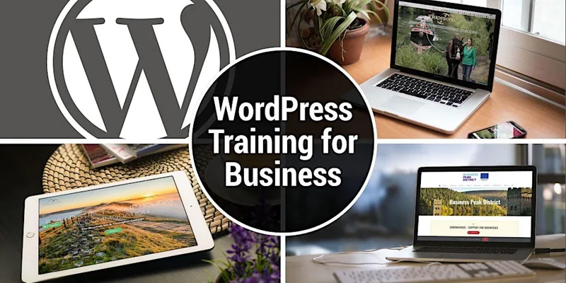 WordPress Training Course for Business - September 2026